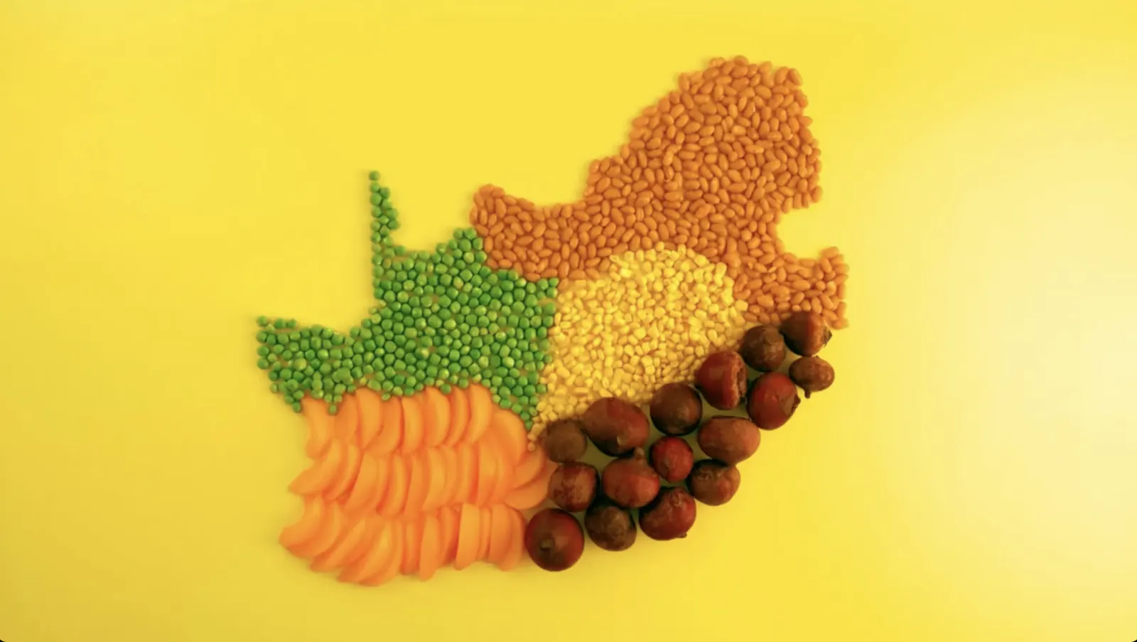 KOO Colour Your Plate campaign artwork